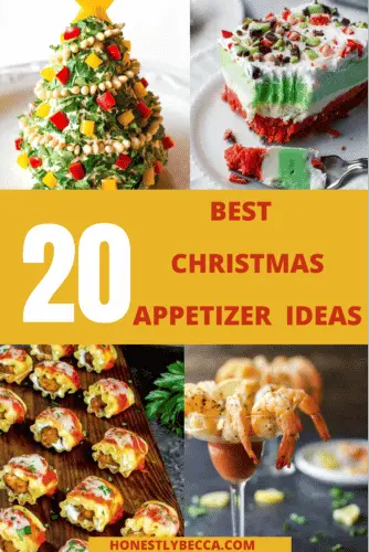 23 Best Christmas Appetizer Ideas To Try In 2022.