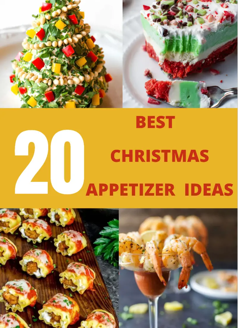 23 Best Christmas Appetizer Ideas To Try In 2022.