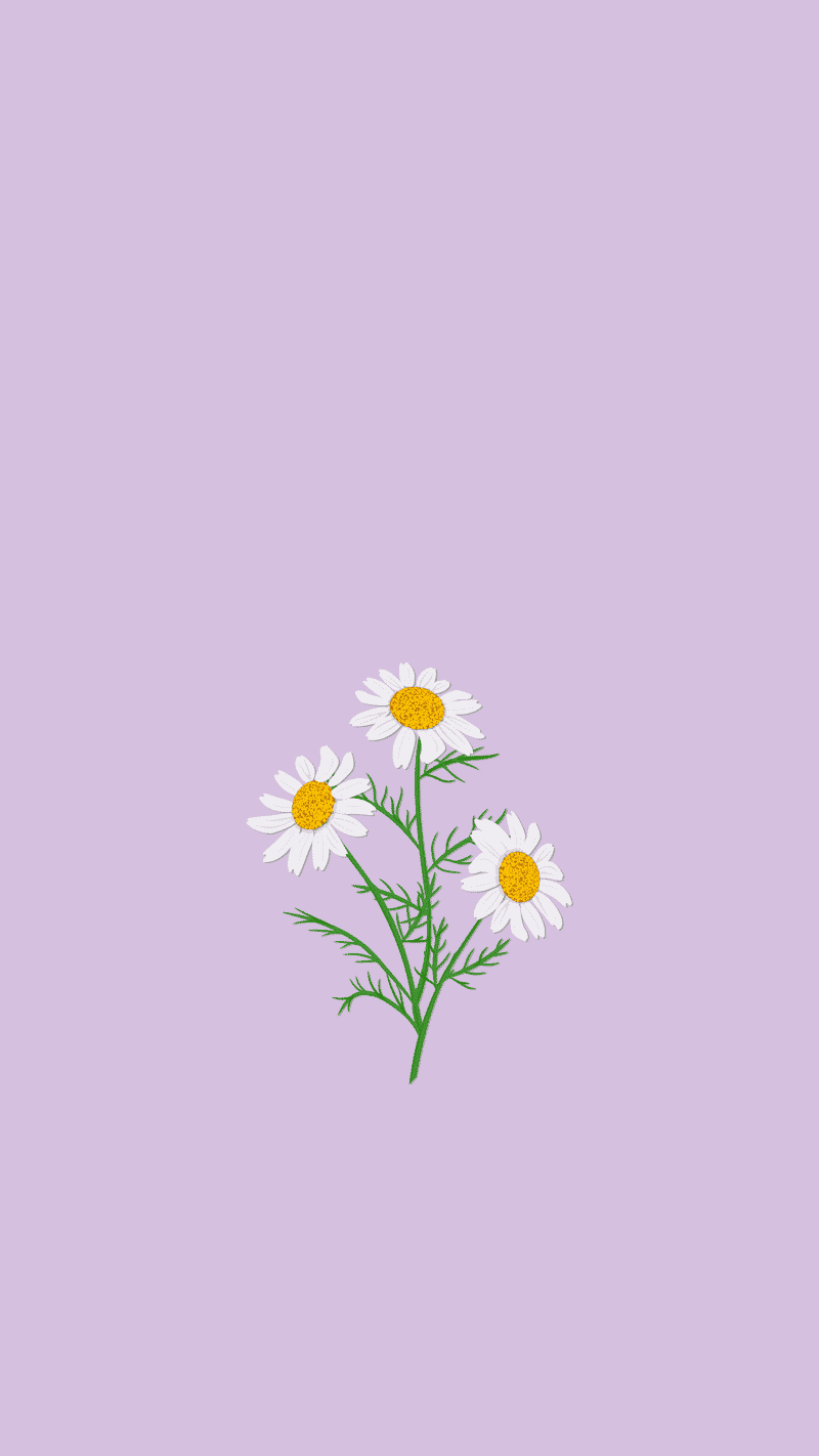 Aesthetic Spring Wallpapers 