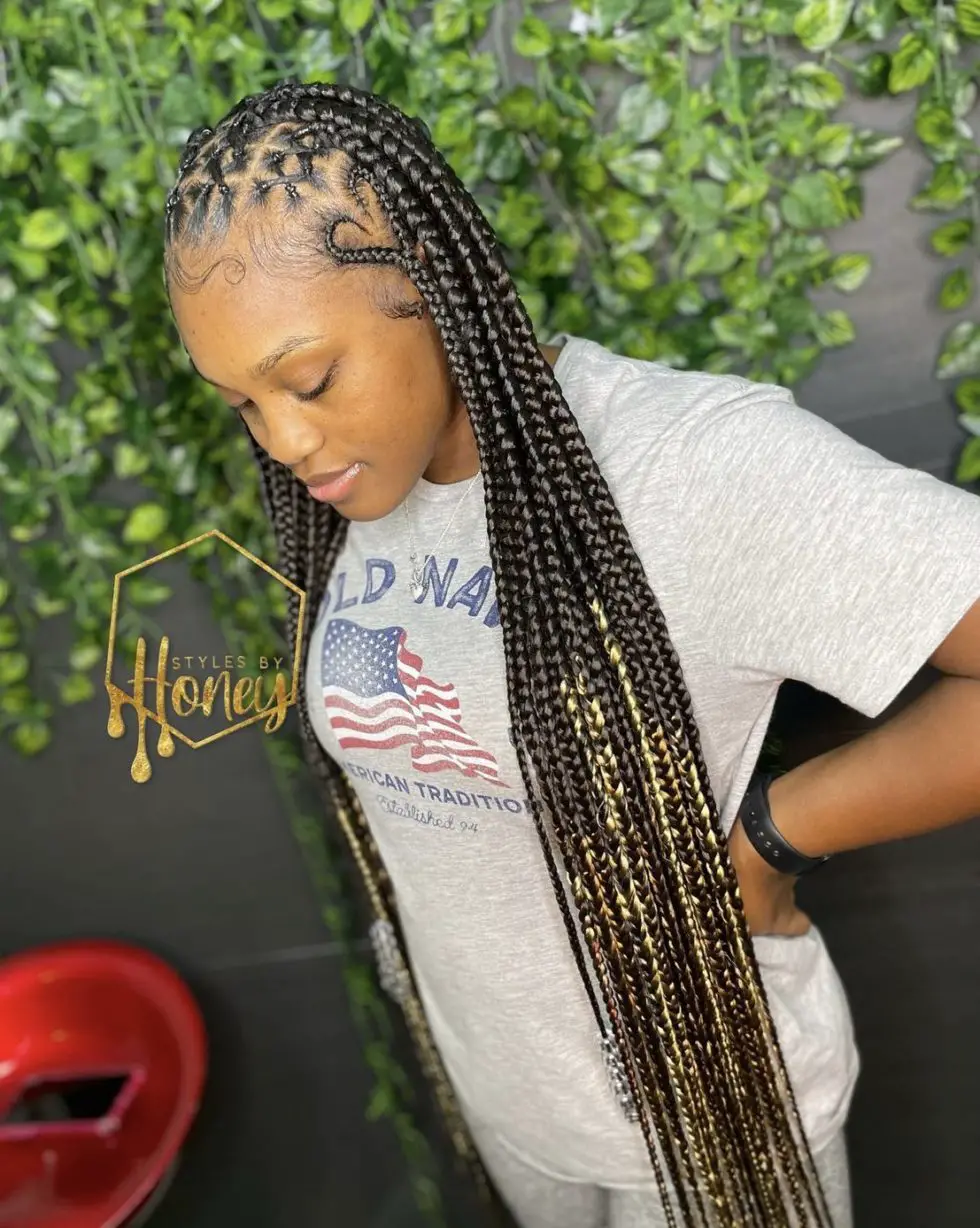 Creative and Gorgeous Criss Cross Knotless Braids Hairstyles in 2022 ...
